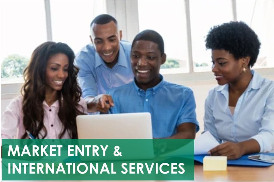 Market Entry & International Services